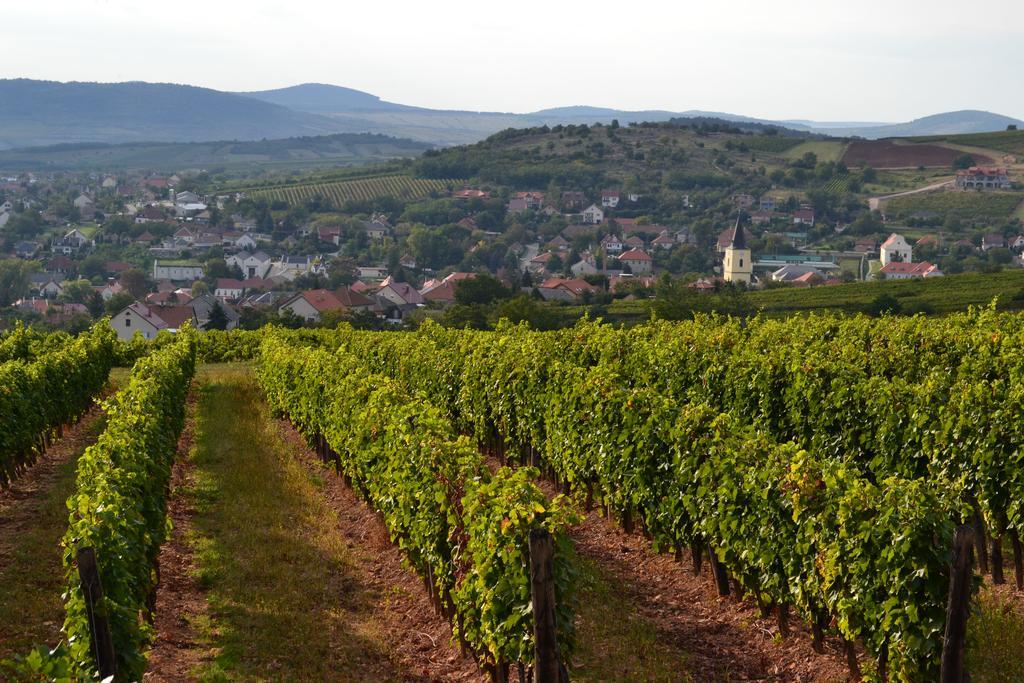 R40 Vendégház Mád Esterno foto
